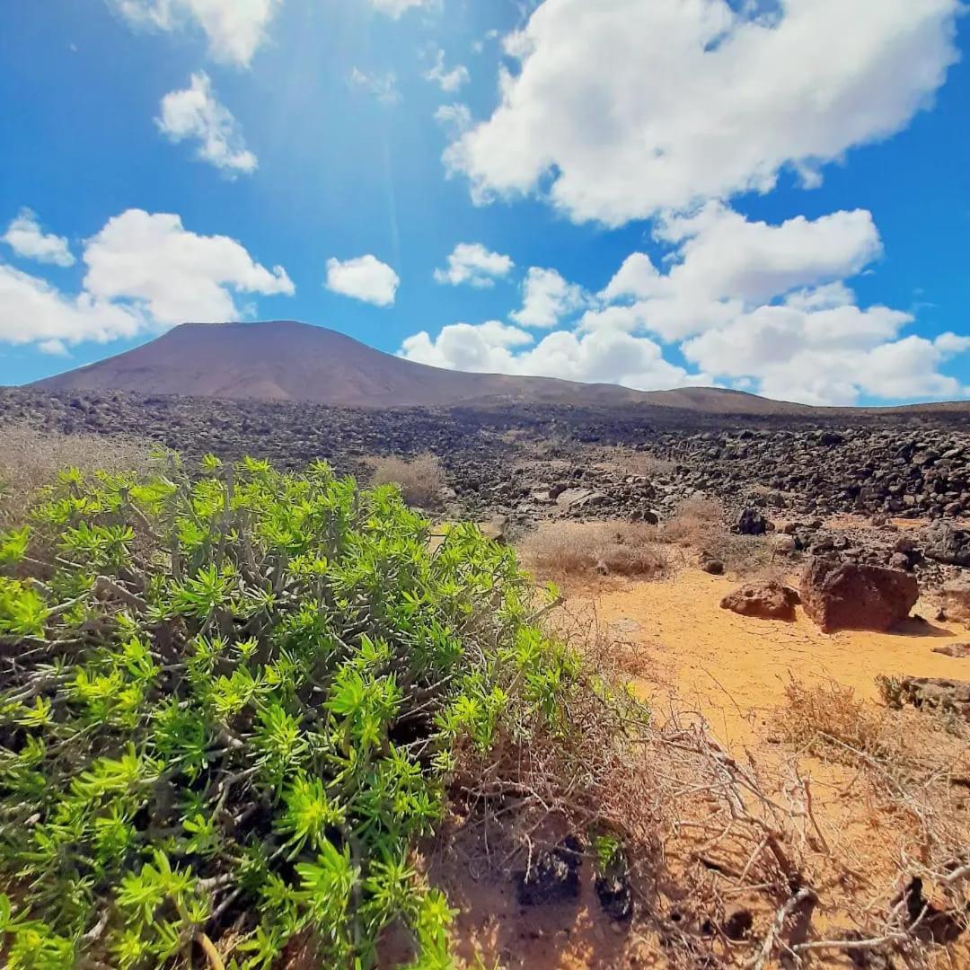 Casa Alma Corralejo Bristol Leilighet Eksteriør bilde